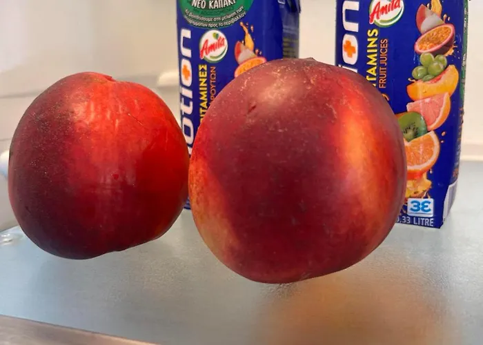 Namaste Appartamento