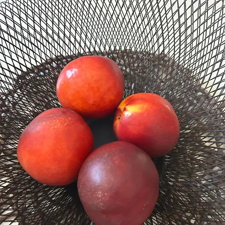 Namaste דירה עיר רודוס