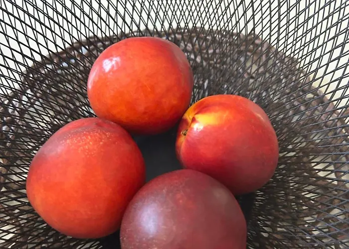 Namaste Апартаменты Родос